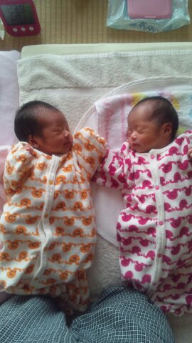 双子を妊娠する方法 双子は狙って産める 双子の種類と産まれる確率 ふたごっち 双子ママの子育て資料館