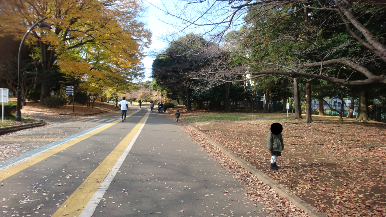 駒沢 公園 自転車 レンタル
